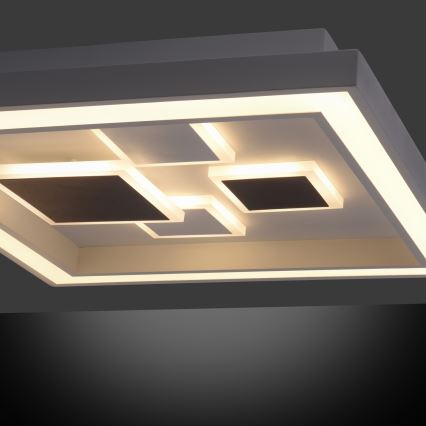 Paul Neuhaus 6283-16 - Luz de teto fosca LED ELIZA LED/30W/230V + LED/18,5W