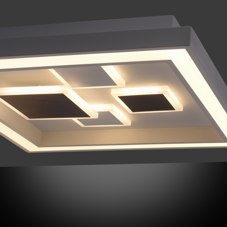 Paul Neuhaus 6283-16 - Luz de teto fosca LED ELIZA LED/30W/230V + LED/18,5W