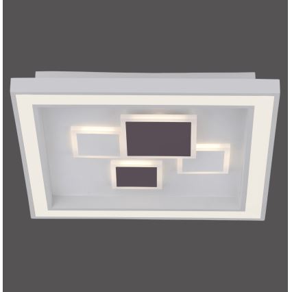 Paul Neuhaus 6283-16 - Luz de teto fosca LED ELIZA LED/30W/230V + LED/18,5W