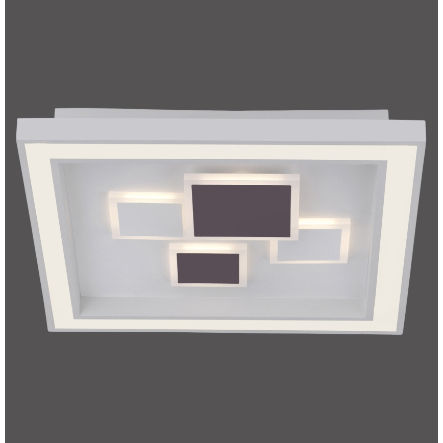 Paul Neuhaus 6283-16 - Luz de teto fosca LED ELIZA LED/30W/230V + LED/18,5W