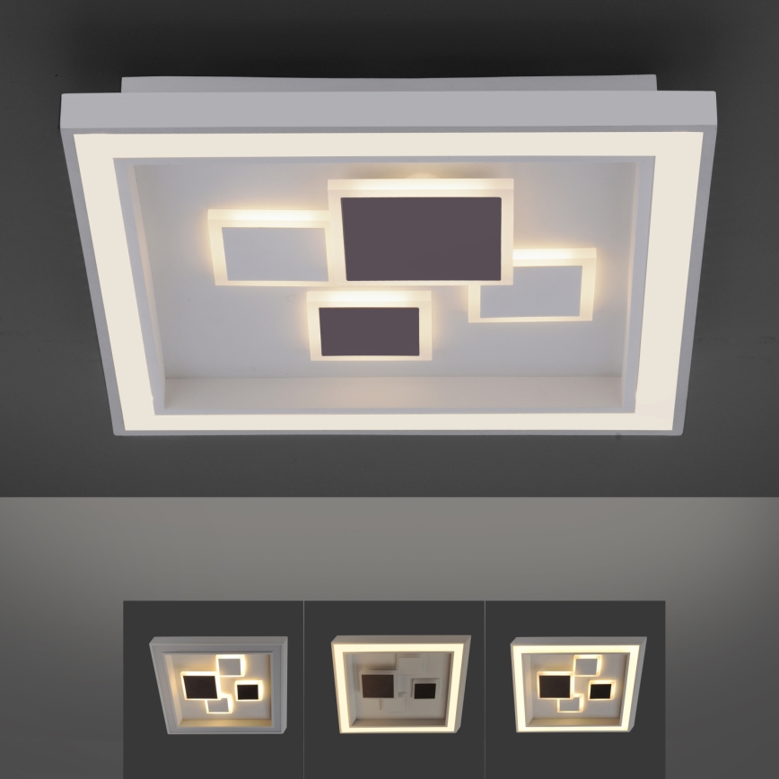 Paul Neuhaus 6283-16 - Luz de teto fosca LED ELIZA LED/30W/230V + LED/18,5W
