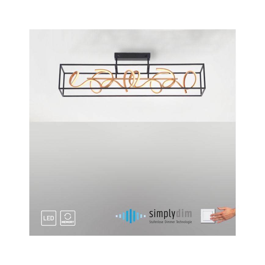 Paul Neuhaus 6473-18 - Candelabro suspenso LED com regulação SELINA 4xLED/10,2W/230V