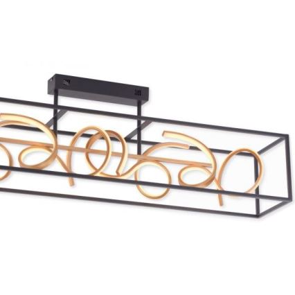Paul Neuhaus 6473-18 - Candelabro suspenso LED com regulação SELINA 4xLED/10,2W/230V