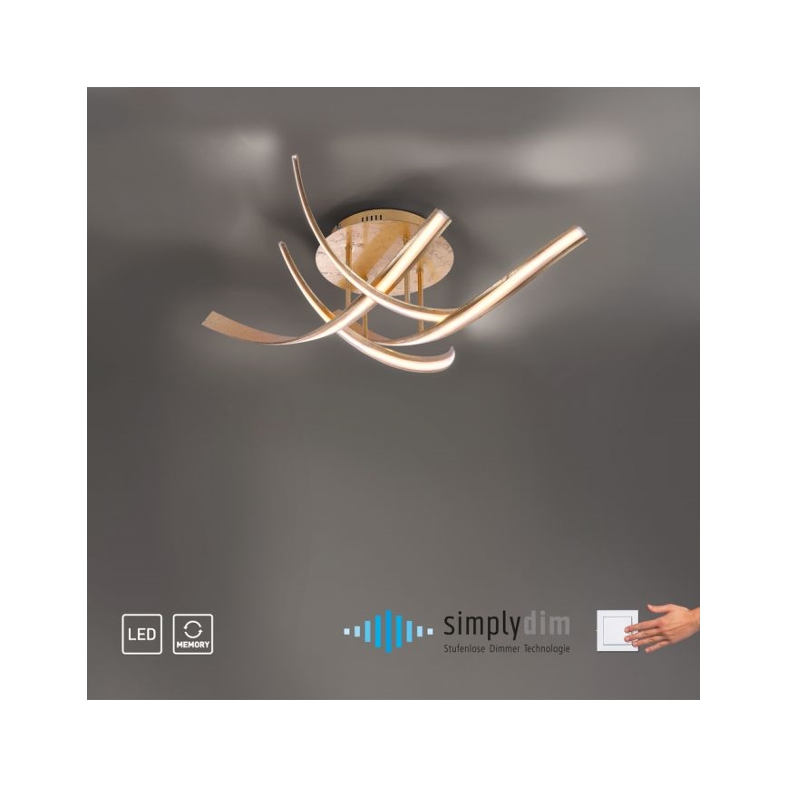 Paul Neuhaus 6474-12 - Candelabro integrado LED com regulação LINDA 4xLED/7W/230V