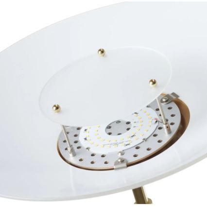 Paul Neuhaus - 655-60 - Candeeiro de chão LED com regulação ALFRED 1xLED/28W/230V+1xLED/4W/230V latão