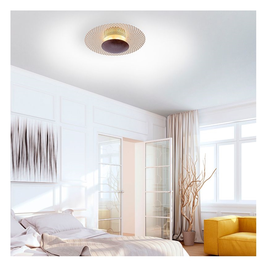 Paul Neuhaus 6551-48 - Iluminação de teto LED com regulação NEVIS LED/18W/230V