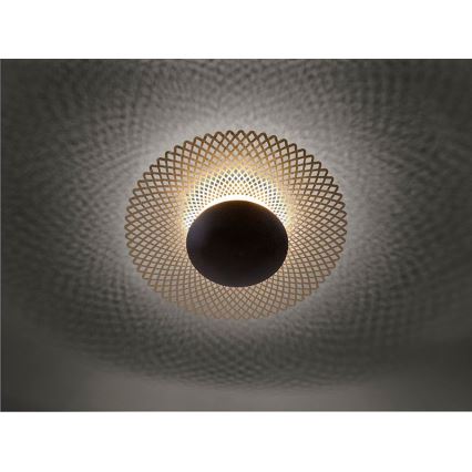Paul Neuhaus 6551-48 - Iluminação de teto LED com regulação NEVIS LED/18W/230V