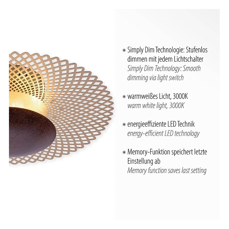 Paul Neuhaus 6551-48 - Iluminação de teto LED com regulação NEVIS LED/18W/230V