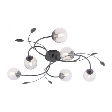 Paul Neuhaus 6737-18 - Candelabro montado à superfície LED WIDOW 6xG9/3W/230V