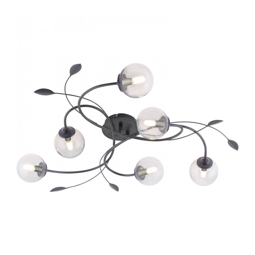 Paul Neuhaus 6737-18 - Candelabro montado à superfície LED WIDOW 6xG9/3W/230V