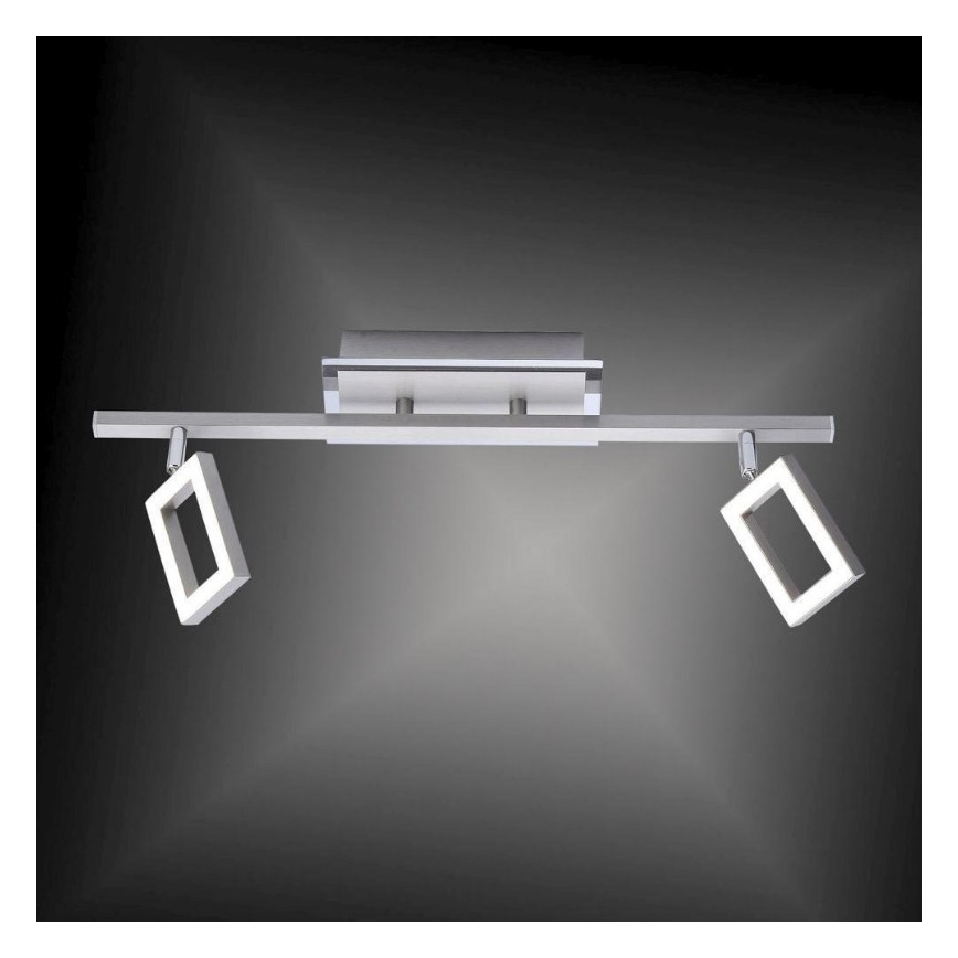 Paul Neuhaus 6958-55 - Foco LED INIGO 2xLED/4,2W/230V