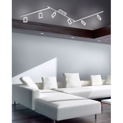Paul Neuhaus 6965-55 - Foco LED com regulação INIGO 6xLED/4W/230V