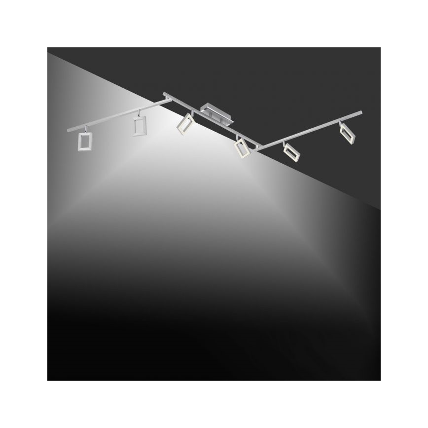 Paul Neuhaus 6965-55 - Foco LED com regulação INIGO 6xLED/4W/230V