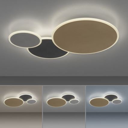 Paul Neuhaus 8007-70 - Iluminação de teto LED com regulação Q-PIATO LED/35W/230V 2700-5000K Wi-Fi + comando