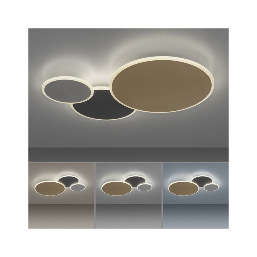 Paul Neuhaus 8007-70 - Iluminação de teto LED com regulação Q-PIATO LED/35W/230V 2700-5000K Wi-Fi + comando