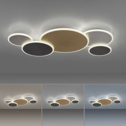 Paul Neuhaus 8008-70 - Iluminação de teto LED com regulação Q-PIATO LED/49W/230V 2700-5000K Wi-Fi + comando
