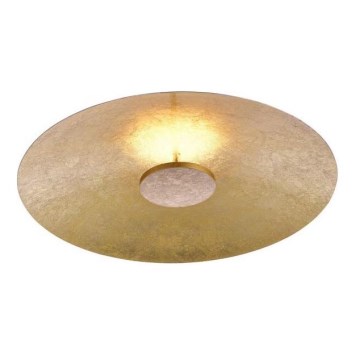 Paul Neuhaus 8132-12 - Iluminação de teto LED com regulação PLATE LED/25W/230V