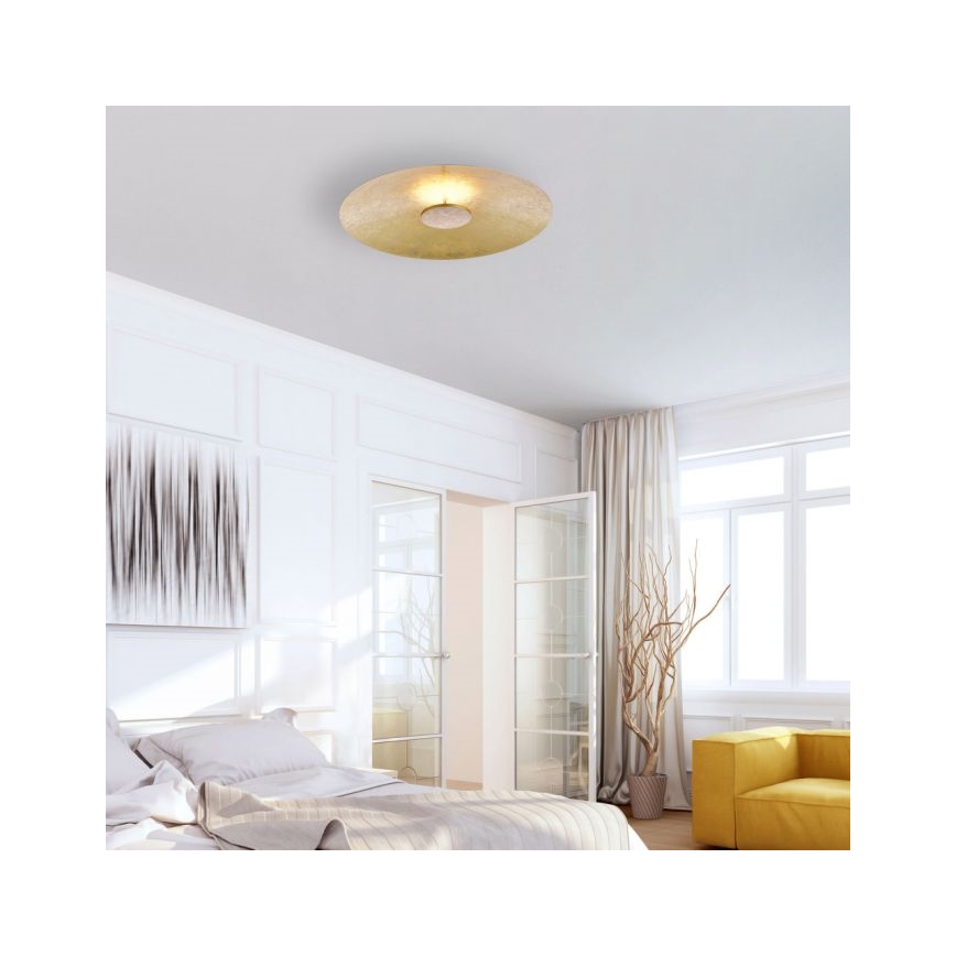 Paul Neuhaus 8132-12 - Iluminação de teto LED com regulação PLATE LED/25W/230V