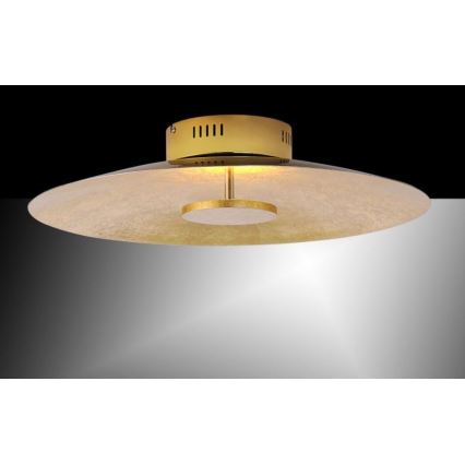 Paul Neuhaus 8132-12 - Iluminação de teto LED com regulação PLATE LED/25W/230V