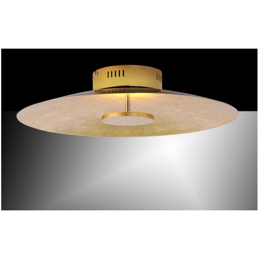 Paul Neuhaus 8132-12 - Iluminação de teto LED com regulação PLATE LED/25W/230V