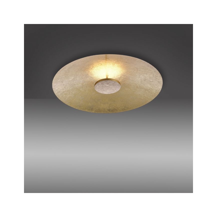 Paul Neuhaus 8132-12 - Iluminação de teto LED com regulação PLATE LED/25W/230V