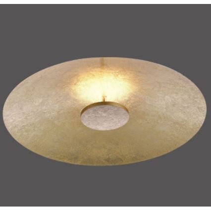 Paul Neuhaus 8132-12 - Iluminação de teto LED com regulação PLATE LED/25W/230V