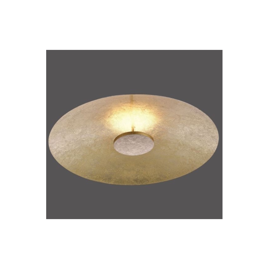 Paul Neuhaus 8132-12 - Iluminação de teto LED com regulação PLATE LED/25W/230V