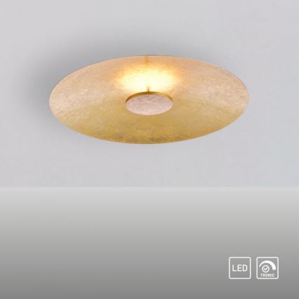 Paul Neuhaus 8132-12 - Iluminação de teto LED com regulação PLATE LED/25W/230V