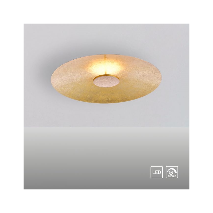 Paul Neuhaus 8132-12 - Iluminação de teto LED com regulação PLATE LED/25W/230V