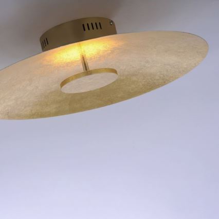 Paul Neuhaus 8132-12 - Iluminação de teto LED com regulação PLATE LED/25W/230V