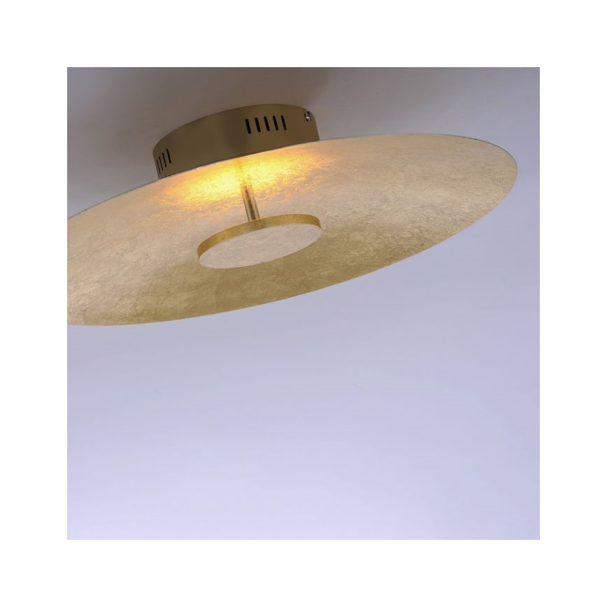 Paul Neuhaus 8132-12 - Iluminação de teto LED com regulação PLATE LED/25W/230V