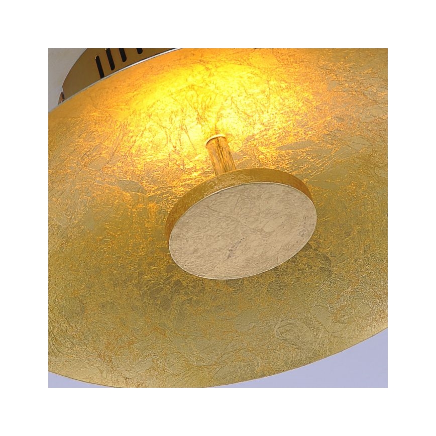Paul Neuhaus 8132-12 - Iluminação de teto LED com regulação PLATE LED/25W/230V