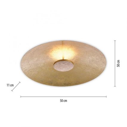 Paul Neuhaus 8132-12 - Iluminação de teto LED com regulação PLATE LED/25W/230V
