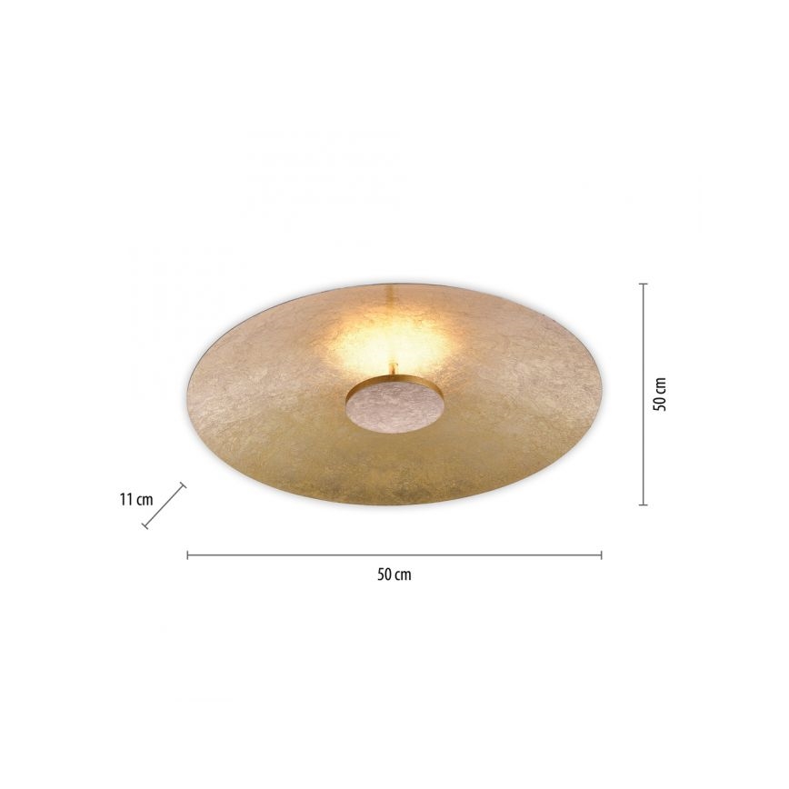 Paul Neuhaus 8132-12 - Iluminação de teto LED com regulação PLATE LED/25W/230V