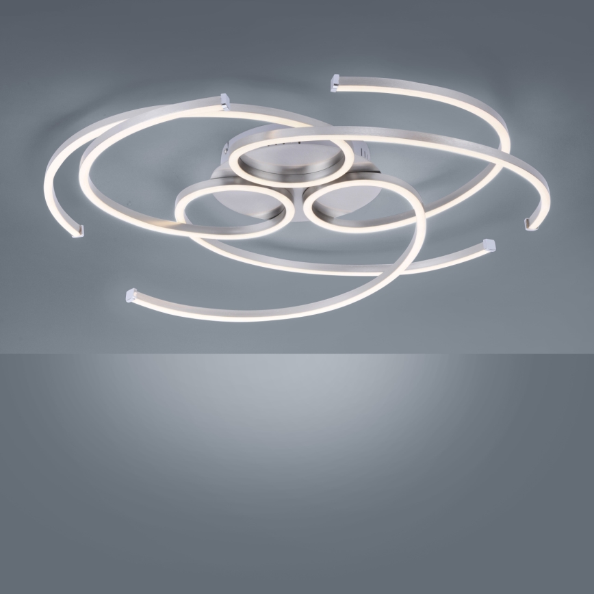 Paul Neuhaus 8165-55 - Luz de teto fosca LED DANILO 3xLED/12W/230V