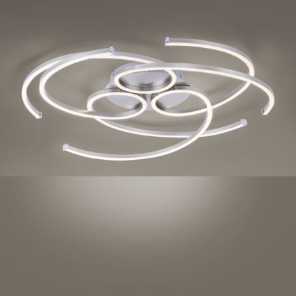 Paul Neuhaus 8165-55 - Luz de teto fosca LED DANILO 3xLED/12W/230V