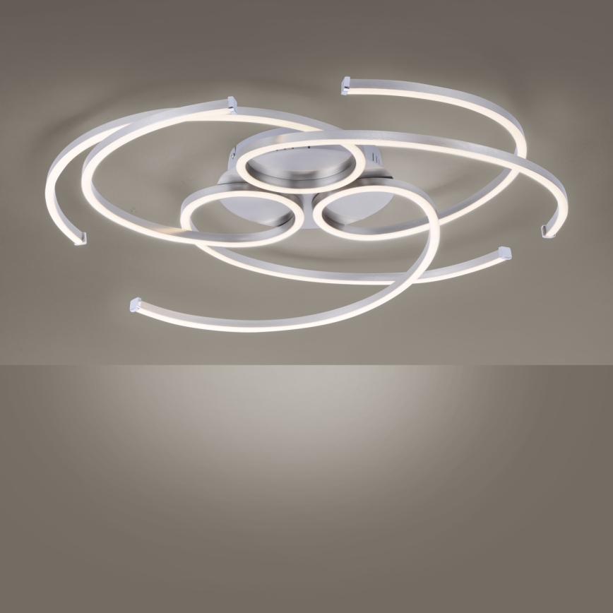 Paul Neuhaus 8165-55 - Luz de teto fosca LED DANILO 3xLED/12W/230V