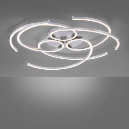 Paul Neuhaus 8165-55 - Luz de teto fosca LED DANILO 3xLED/12W/230V