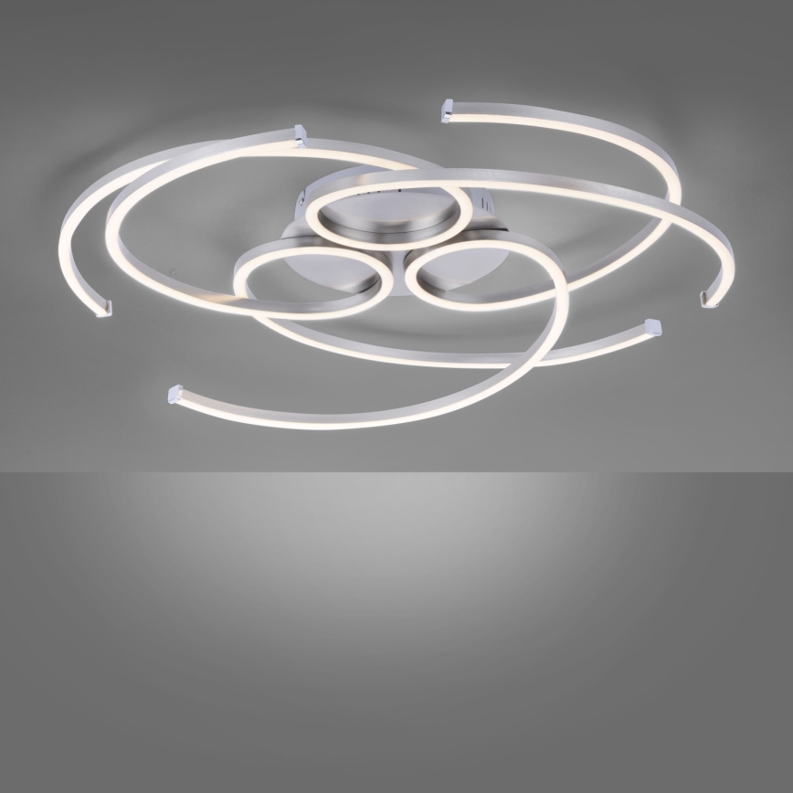 Paul Neuhaus 8165-55 - Luz de teto fosca LED DANILO 3xLED/12W/230V