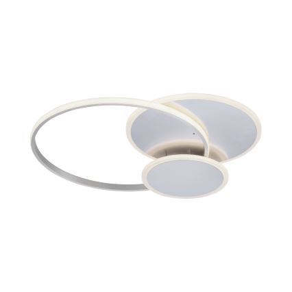 Paul Neuhaus 8318-55 - Luz de teto fosca LED EMILIO LED/53W/230V + controlo remoto