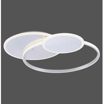 Paul Neuhaus 8318-55 - Luz de teto fosca LED EMILIO LED/53W/230V + controlo remoto
