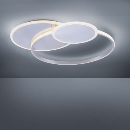 Paul Neuhaus 8318-55 - Luz de teto fosca LED EMILIO LED/53W/230V + controlo remoto