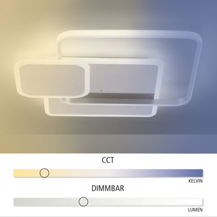 Paul Neuhaus 8319-55 - Luz de teto fosca LED EMILIO LED/53W/230V + controlo remoto