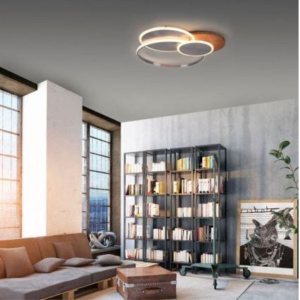 Paul Neuhaus 8328-79 - Iluminação de teto LED com regulação PALMA LED/50W/230V 2700-5000K pinho + comando