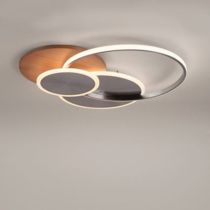 Paul Neuhaus 8328-79 - Iluminação de teto LED com regulação PALMA LED/50W/230V 2700-5000K pinho + comando