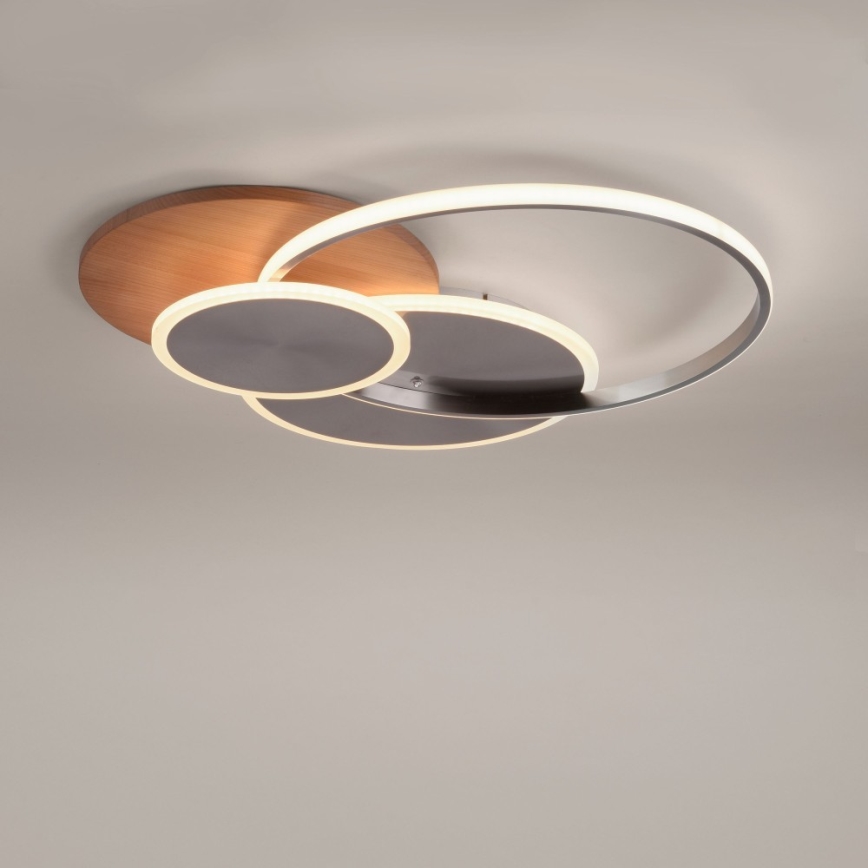 Paul Neuhaus 8328-79 - Iluminação de teto LED com regulação PALMA LED/50W/230V 2700-5000K pinho + comando