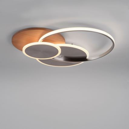Paul Neuhaus 8328-79 - Iluminação de teto LED com regulação PALMA LED/50W/230V 2700-5000K pinho + comando