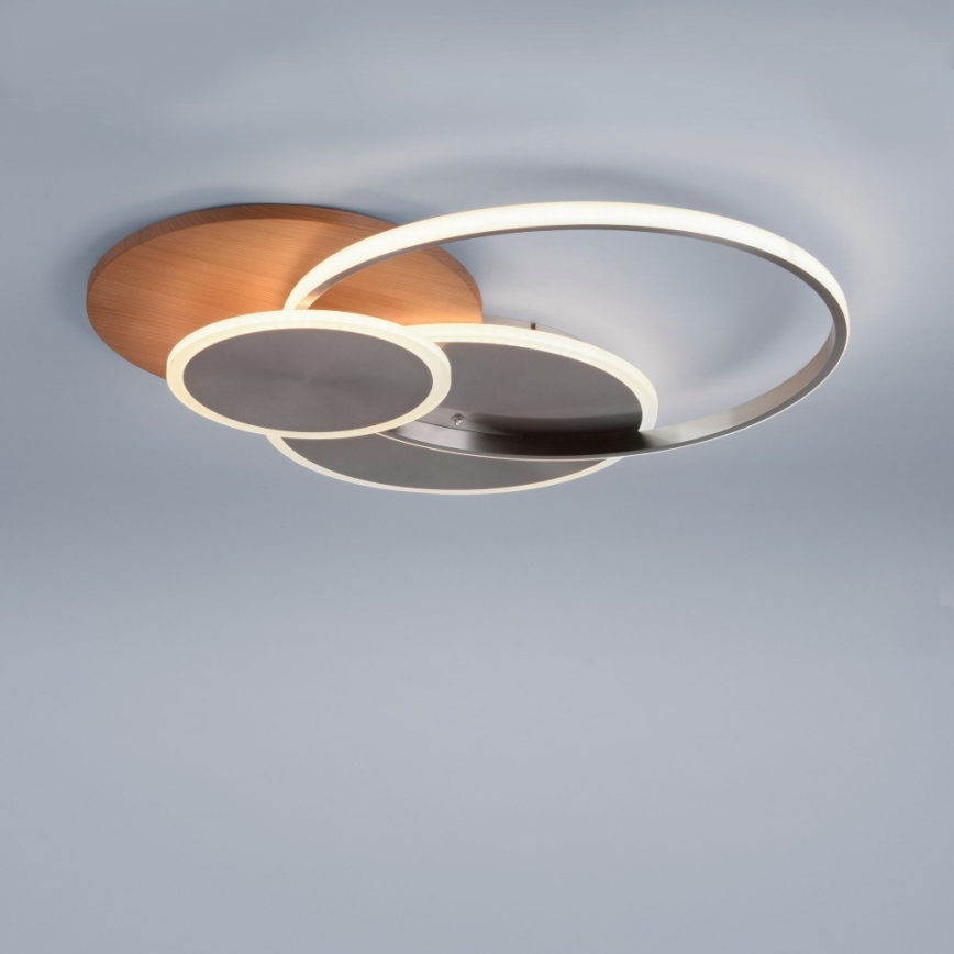 Paul Neuhaus 8328-79 - Iluminação de teto LED com regulação PALMA LED/50W/230V 2700-5000K pinho + comando