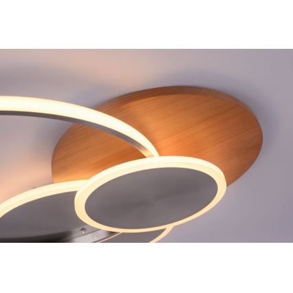 Paul Neuhaus 8328-79 - Iluminação de teto LED com regulação PALMA LED/50W/230V 2700-5000K pinho + comando