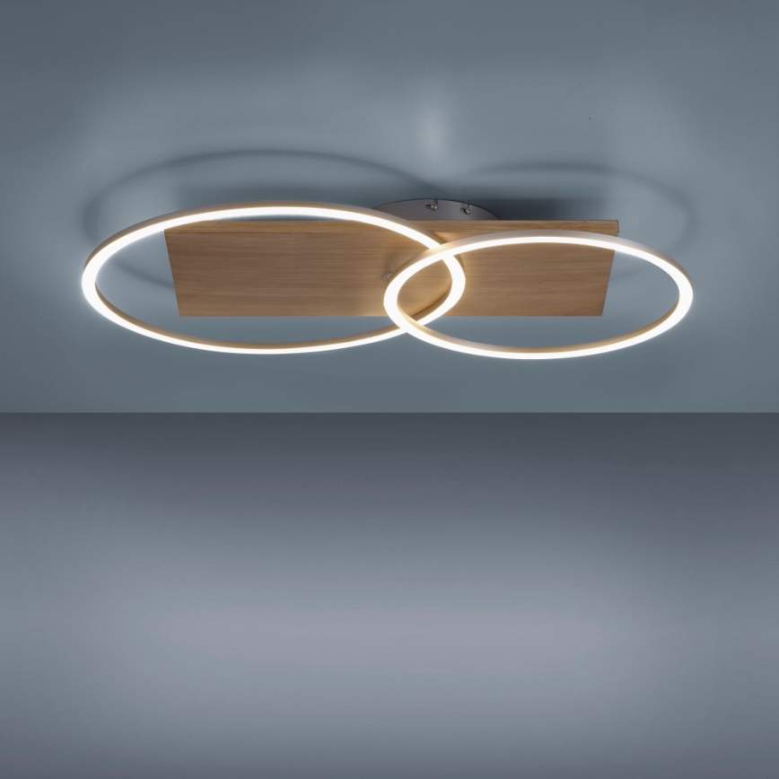 Paul Neuhaus 8329-79 - Candelabro LED integrado com regulação PALMA LED/26W/230V 2700-5000K pinho + comando